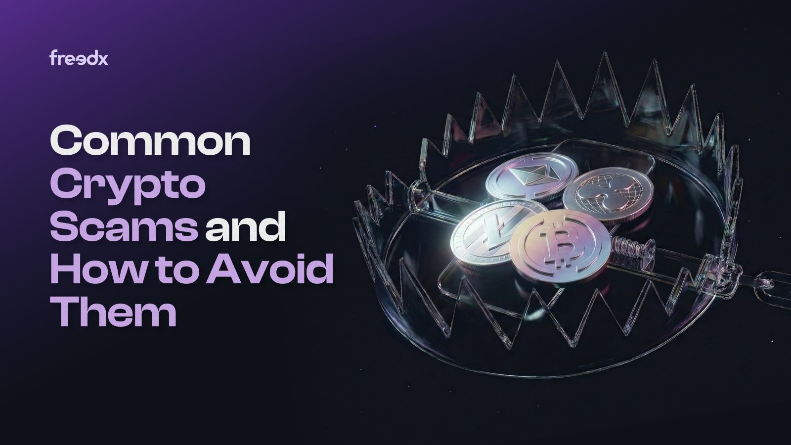 Learn Crypto, Trading & Market Trends | Freedx Blog